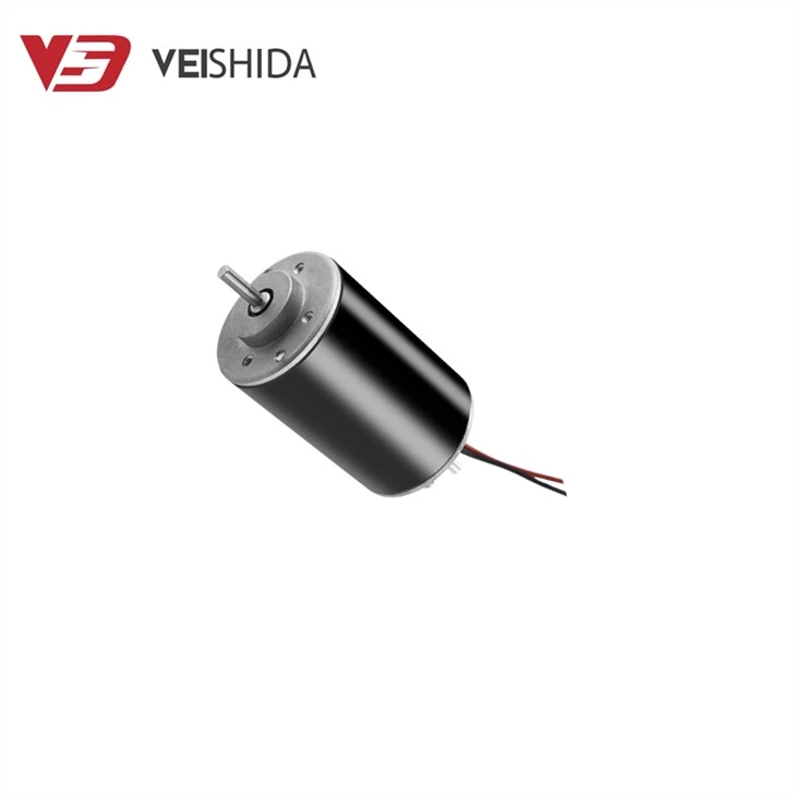 Dual Output Shaft 12V-24V Carbon Brush Motor