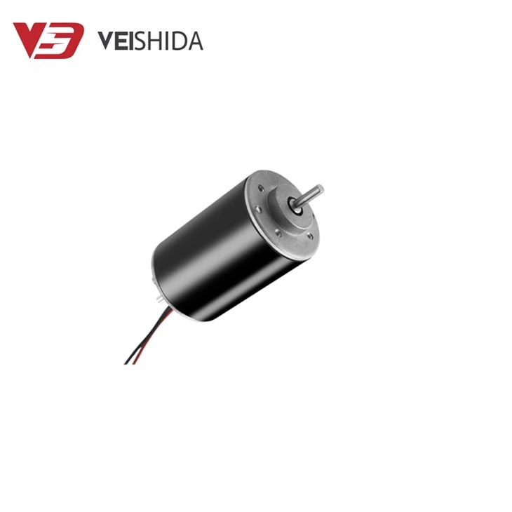 Dual Output Shaft 12V-24V Carbon Brush Motor