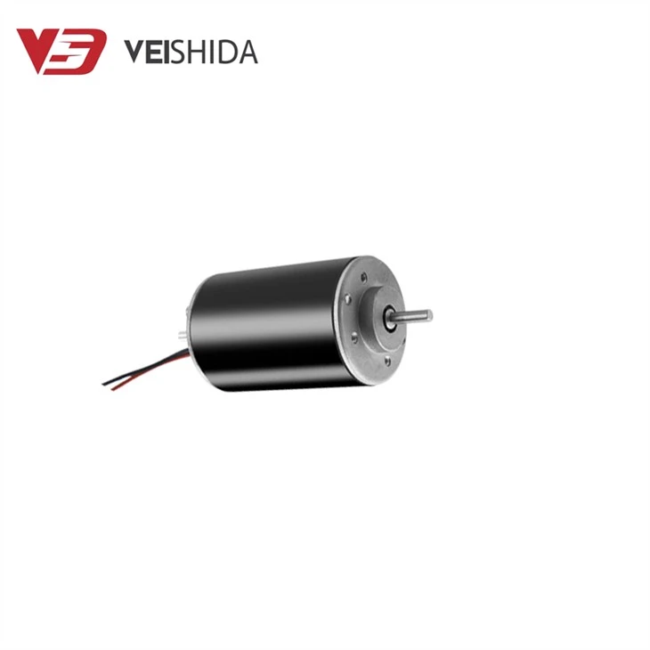 Dual Output Shaft 12V-24V Carbon Brush Motor