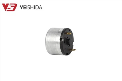 528 فرشاة كربون صغيرة DC Motor