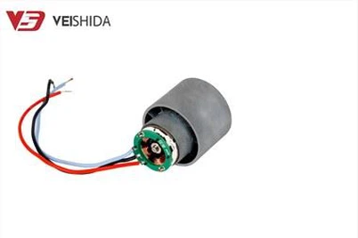 تشغيل مجفف الشعر فرش موتور تيار مباشر