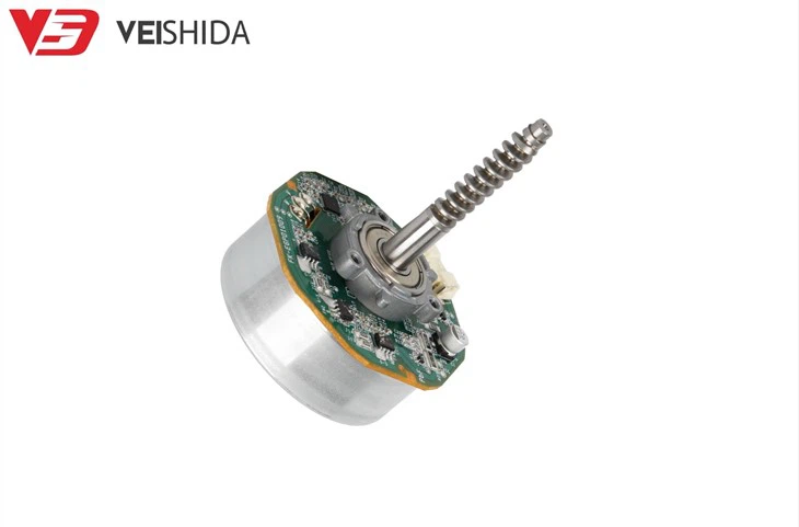 55mm Outer Rotor Brushless Motor